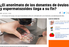 articulo 11