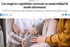 articulo 14