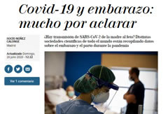 articulo 24