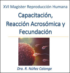 capacitacion